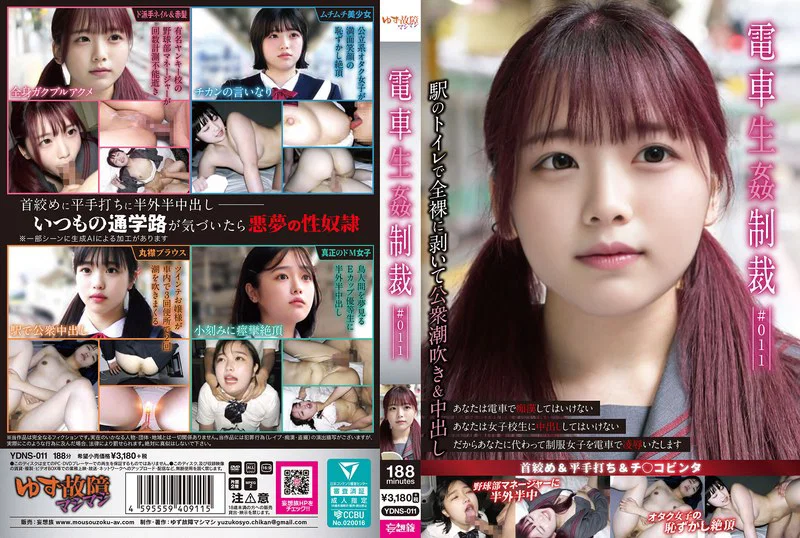 ydns-011